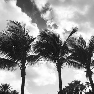 Meet your Posher, Randy